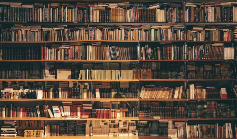 Estanterías de libros en una biblioteca; fotografía de recurso